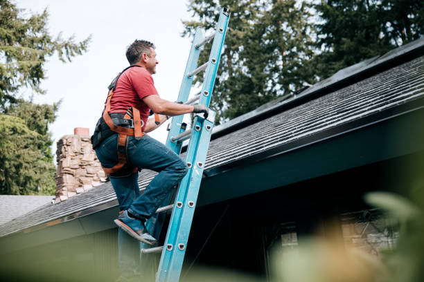 Best Roof Leak Repair  in Fallon, NV